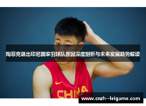 陶菲克退出印尼国家羽球队原因深度剖析与未来发展趋势解读