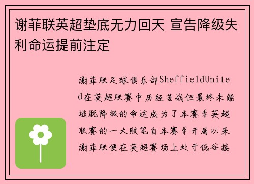 谢菲联英超垫底无力回天 宣告降级失利命运提前注定